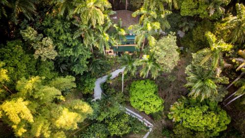 Tree Top Honeymoon Dome