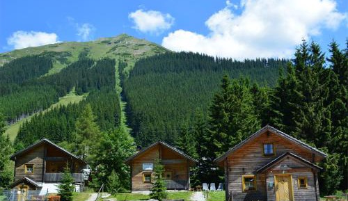 Chalet (6 Adults)