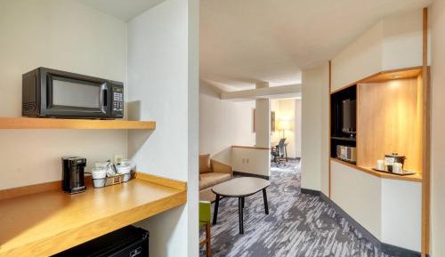 Executive King Suite with Sofa Bed