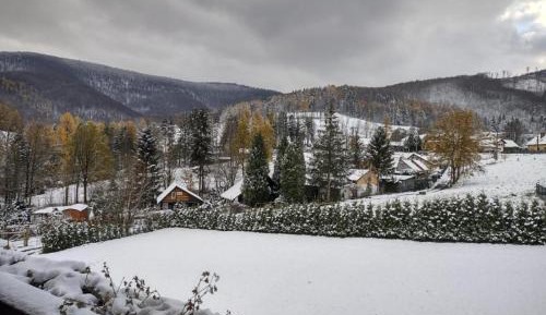 Two-Bedroom Chalet