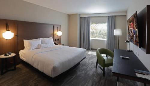 Guest room, 1 King, City view