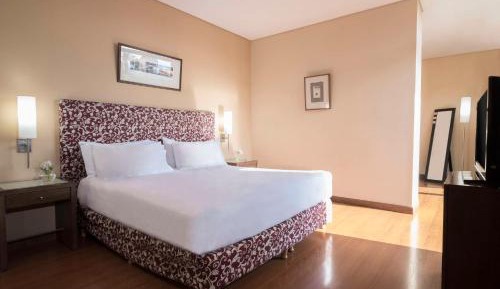 Junior Suite with Terrace