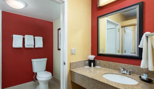 Suite, 1 King, Sofa bed