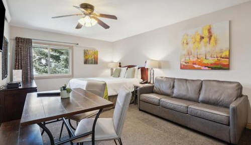 Studio Apartment