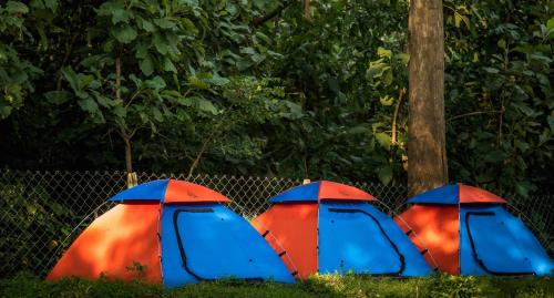 Tent