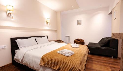 Deluxe One-Bedroom Apartment with City View