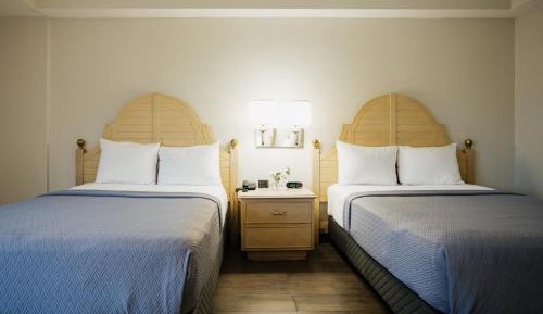 Double Room with Two Double Beds