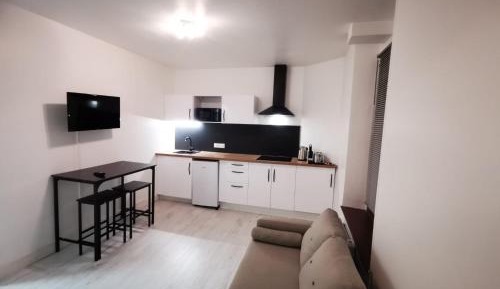 One-Bedroom Deluxe Apartment
