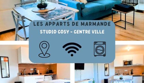 Standard Studio