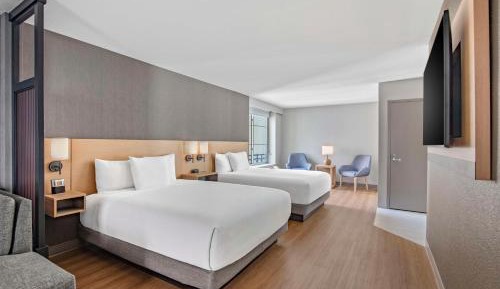 Corner Specialty Room with Two Queen Beds and Sofa Bed