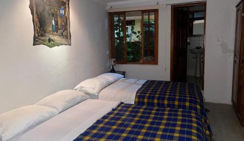 Single Bed in Mixed Dormitory Room