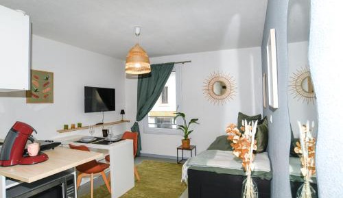 Studio Apartment