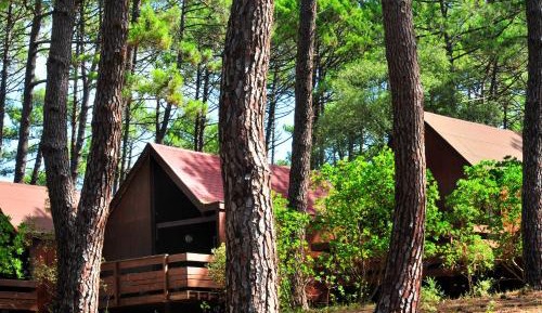 Gite 2 bedrooms (4-5 Adults)