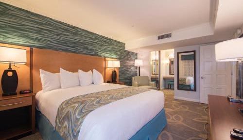 Deluxe King Suite