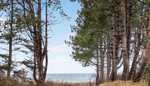 Two-Bedroom Holiday Home