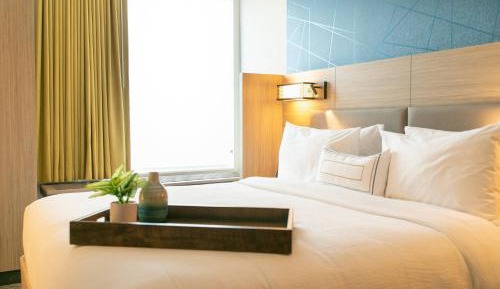 Suite, 1 King, Sofa bed