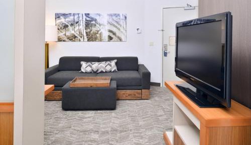 King Studio with Sofa Bed