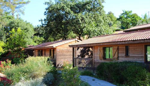 Cottage (2-4 Adults)