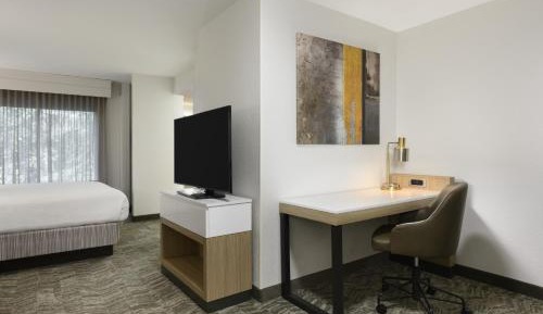 King Suite with Sofa Bed