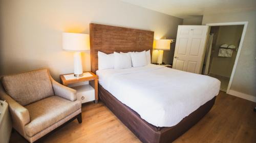 One King Bed - Accessible Non Smoking