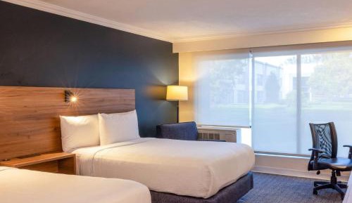 Double Room with Two Double Beds