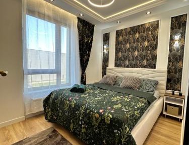 Deluxe One-Bedroom Apartment