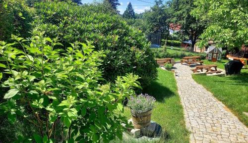Apartment with Garden View
