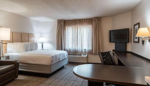 Studio Queen Suite with Bathtub - Mobility Accessible 