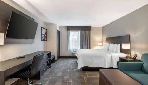 King Suite with Sofa Bed and Kitchen