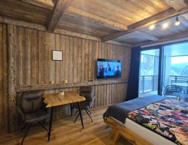 One-Bedroom Apartment with Balcony and Mountain View  