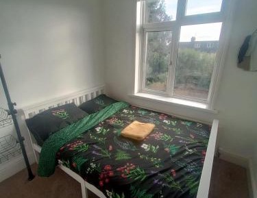 Cozy Double Room