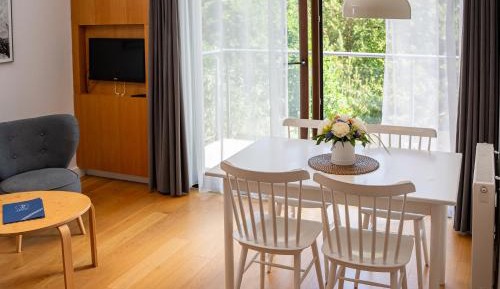 One-Bedroom Apartment with Sofa Bed