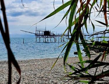 One-Bedroom Standard Apartment