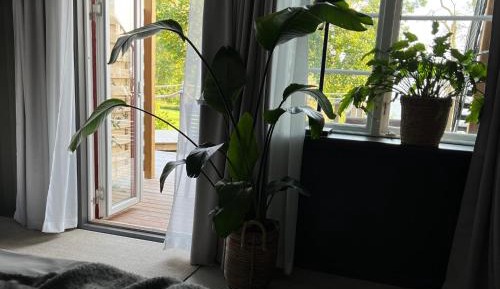Deluxe Junior Suite