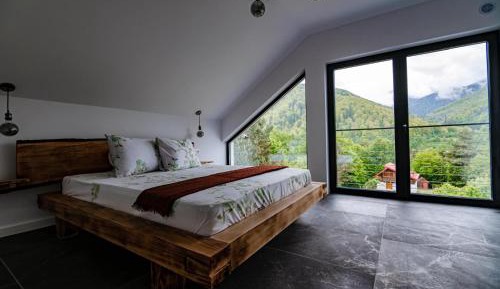 Double Room with Mountain View