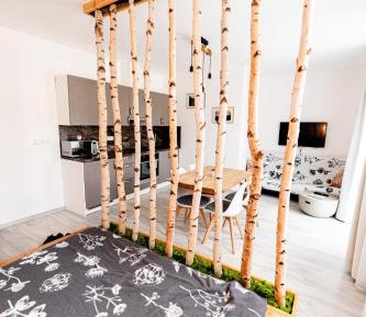 Studio with Terrace