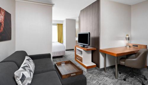 King Suite with Sofa Bed