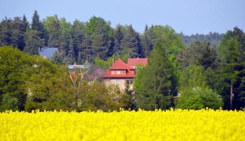 Apartment with Garden View