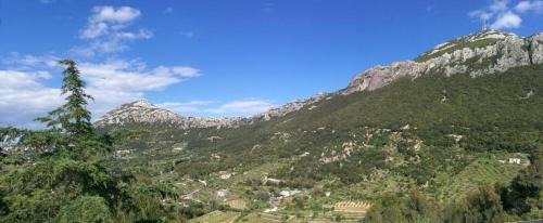 Double Room with Mountain View