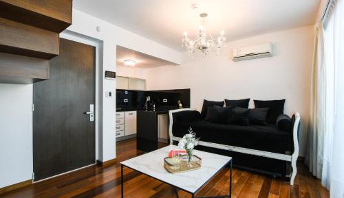 Duplex Apartment