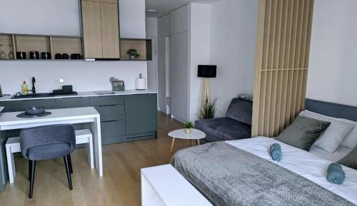 Studio Apartment with Balcony