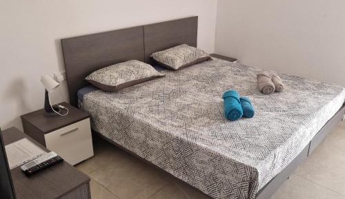 Double Room with Shared Bathroom