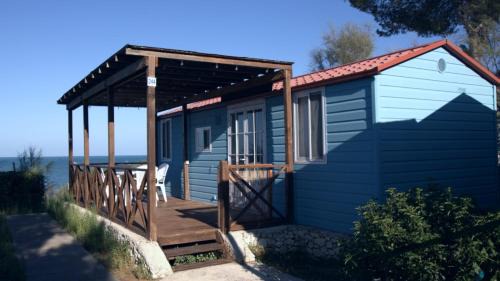 Mobile Home