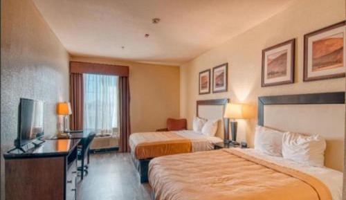 Standard Double Suite