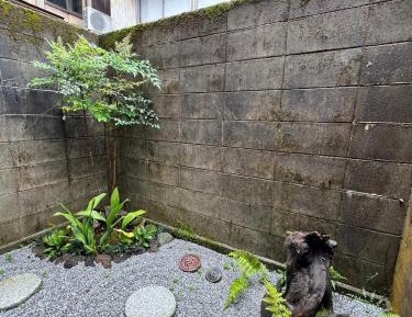 Japanese-Style Room