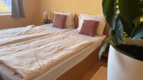 Double or Twin Room with Lake View