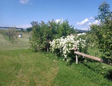 One-Bedroom Apartment - Split Level