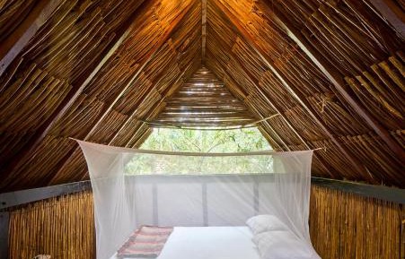 Standard Bungalow with Fan