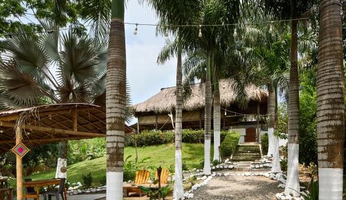 Single Bed in Mixed Dormitory Room