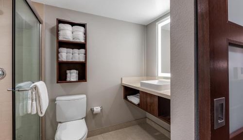 King Room with Standard View